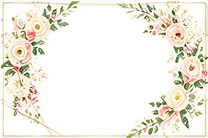 Background option