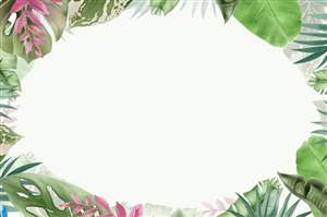 Background option