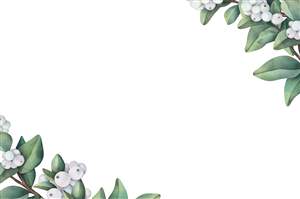 Background option