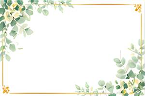Background option