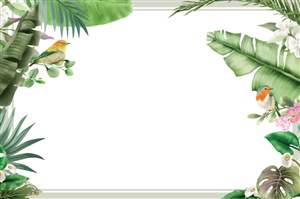 Background option