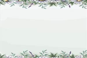 Background option