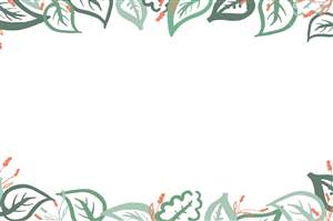 Background option