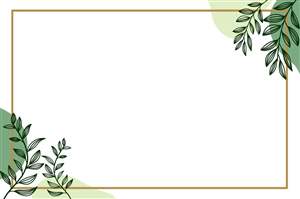 Background option