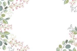 Background option